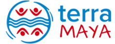 logo DMC terra maya