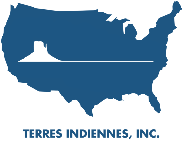 Logo DMC terres indiennes