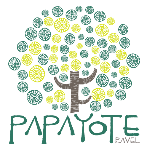 Logo DMC papayote travel agency